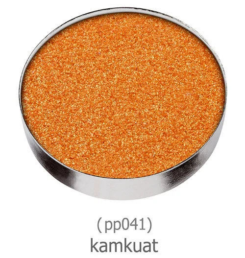 pp041 kamkuat