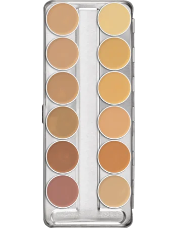 Dermacolor Camouflage Palette (12)