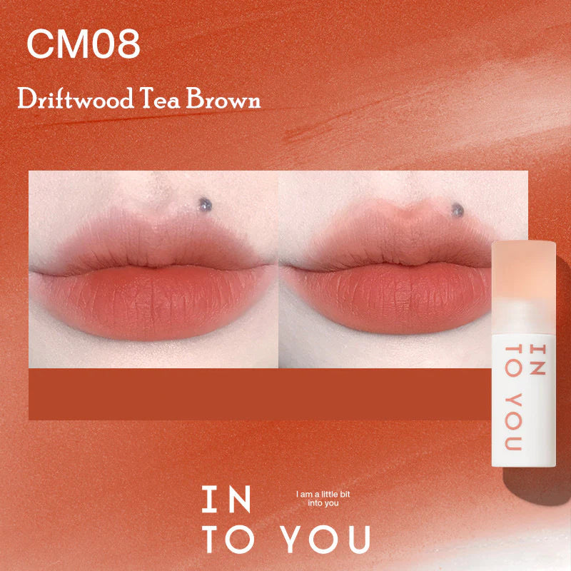 CM08 Driftwood Tea Brown